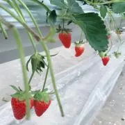 ぽん☆断捨離中