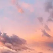Sasasaaaa