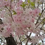 Mooooonの画像