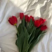 みーさんのお部屋の画像