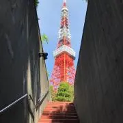 ほしこ