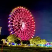 SHの画像