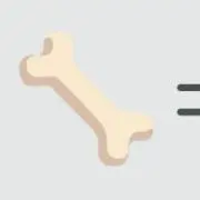 ルの画像