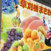 ささぐりーん歩道橋の画像