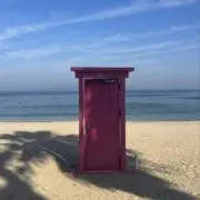 yuの画像