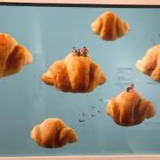 とまとの画像