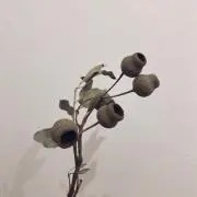 a.m.tの画像