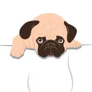 天然パーマの画像