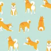 SHRRT（即購入OK）の画像