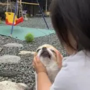 ✮の画像