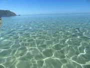 ムックの画像
