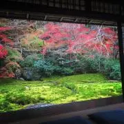 おんの画像