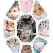 南国- ̗̀ ☺︎ ̖́-キッチン