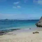 ゆかの画像