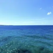 まるの画像