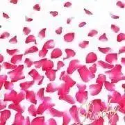 りーの画像