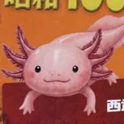 せセリの画像