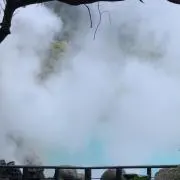 しかいの画像