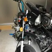 monkey