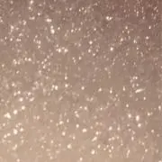 ぽむちゃむ(プロフ必読)の画像