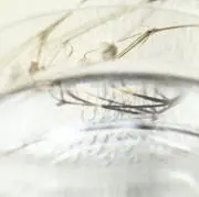 ハナキュー