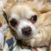 ☆るな☆  お休み中です