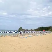 RH 8/8から8/10発送できませんの画像