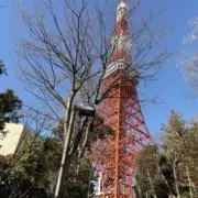 mococoの画像