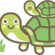 かめ【２４時間発送】★プロフィール必読★の画像