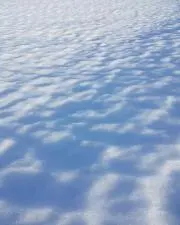 ややの画像