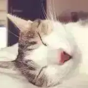 Image of うめみ