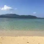 パタパタ