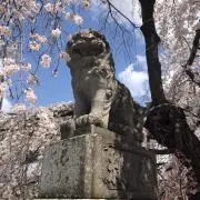 のんの画像