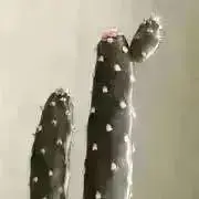 水色( ◠‿◠ プロフ見てね╹◡╹）の画像