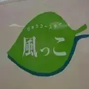 はやぶさの画像