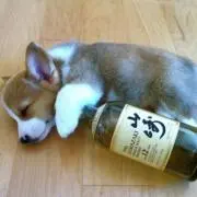 テラ&カラ