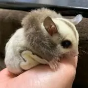 ✩Natsu✩の画像