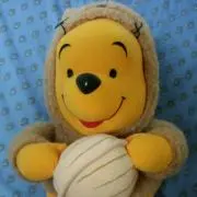 さらちゃんの画像