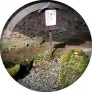 みぃ