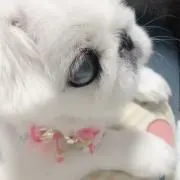 ホウヅキ未だ断捨離中だが。の画像