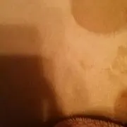 nn1alddli1a