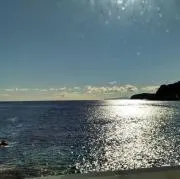 AJの画像
