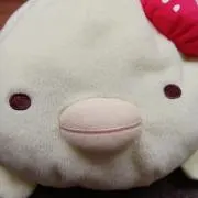 さとりんの画像