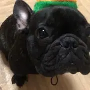 e-jの画像