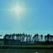 笑の画像
