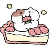 Rの画像