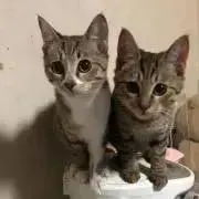 卍あや卍
