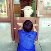 モグアイ