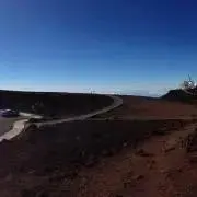 らんだーの画像
