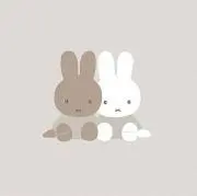 まりもの画像
